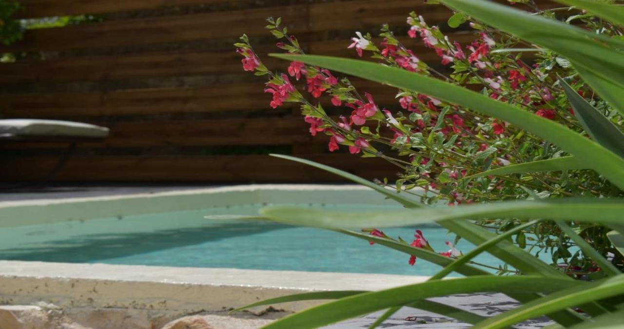 La Maison Bourgeoise - Adults Only Hotel Pourrieres Esterno foto